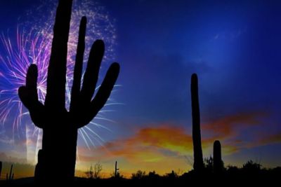 cactus-with-fireworks-in-the-background-at-night