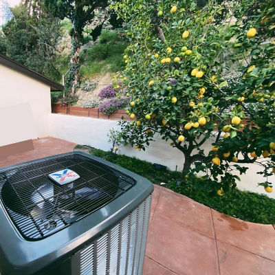 An AC unit next to a fruit tree.