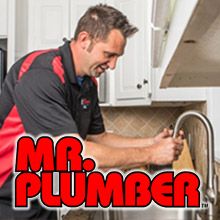 Mr. Plumber inspecting a kitchen faucet in a McDonough home