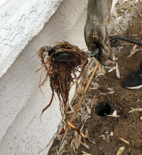  a person holding a pipe with dirt and dirt on it