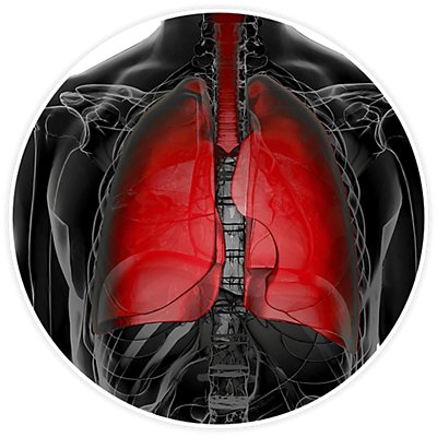 Pollution Impact on Lungs