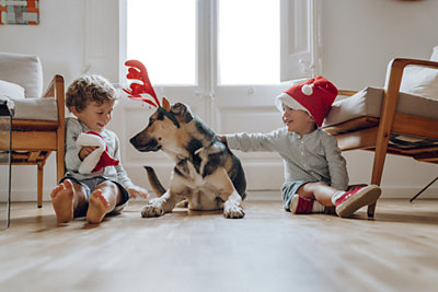 children playing with their dog at home with holiday decor around 