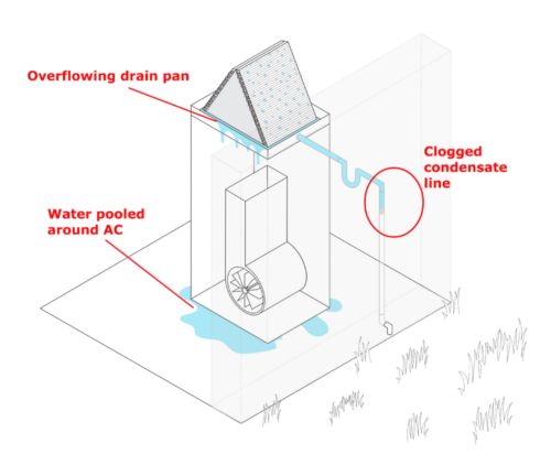 clogged condensate line AC roaches