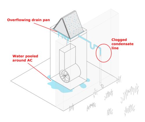 clogged condensate line AC roaches