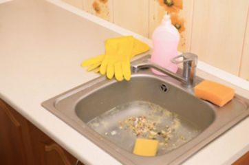 How to Unclog a Double Kitchen Sink With Standing Water