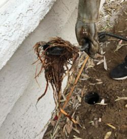 a person holding a pipe with dirt and dirt on it