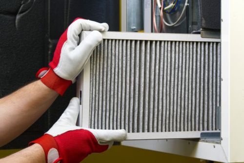 A person holding a filter