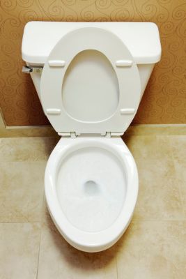 Clean toilet wth lid up