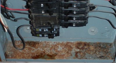 Rust