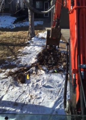 Sewer line excavation with snow on ground