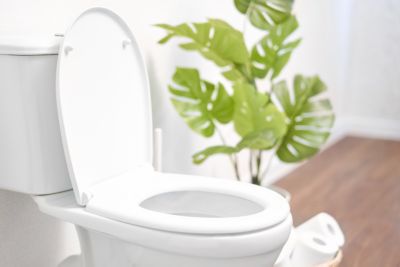 Modern toilet, great design for any purposes. Ceramic toilet bowl with toilet paper near light wall