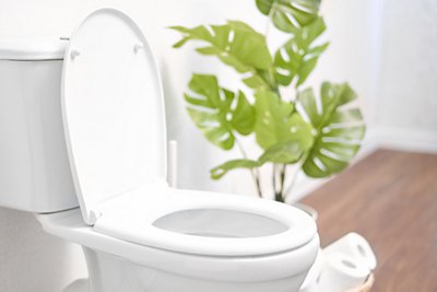 Modern toilet, great design for any purposes. Ceramic toilet bowl with toilet paper near light wall