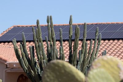 Solar panels on tile roof behind southwestern cactus on a sunny day