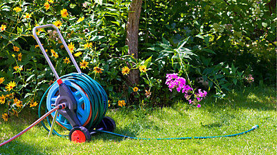 Hose neatly coiled in bakyard with flowers
