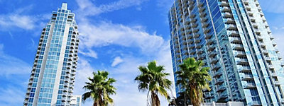 Tall buildings with palm trees