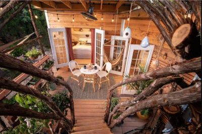 The Nest