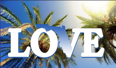 today love palm tree