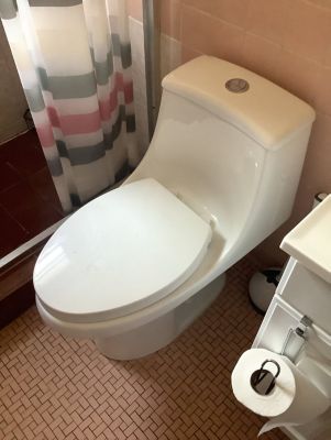 Toilet Repair, Replacement, & Installation in Austin TX