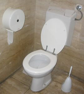 Toilet leak detection