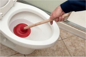 toilet with a plunger in the bowl