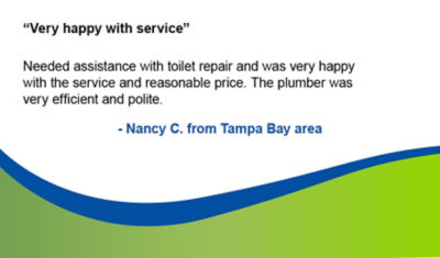 Toilet repair testimonial