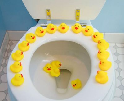 Toy duckies on a toilet seat rim.