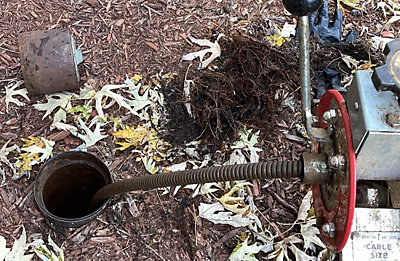 tree root killer clogged sewer line