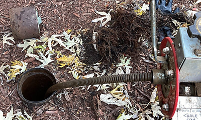 tree root killer clogged sewer line
