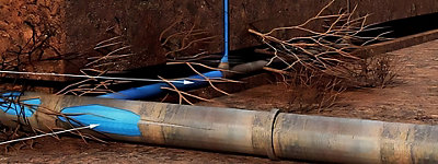 A pipe with roots and a blue pipe