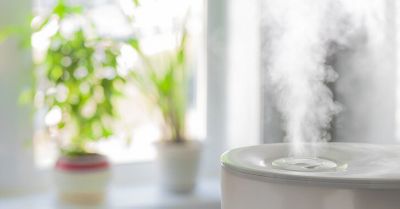 Humidifier At Home