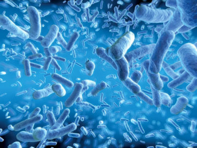 Water bacteria