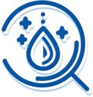 Learn more about Water Quality