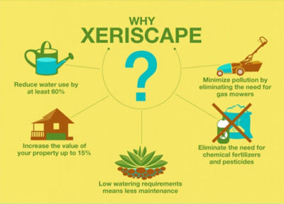 Xeriscaping (Dry Landscaping) Around Your Outdoor HVAC Unit