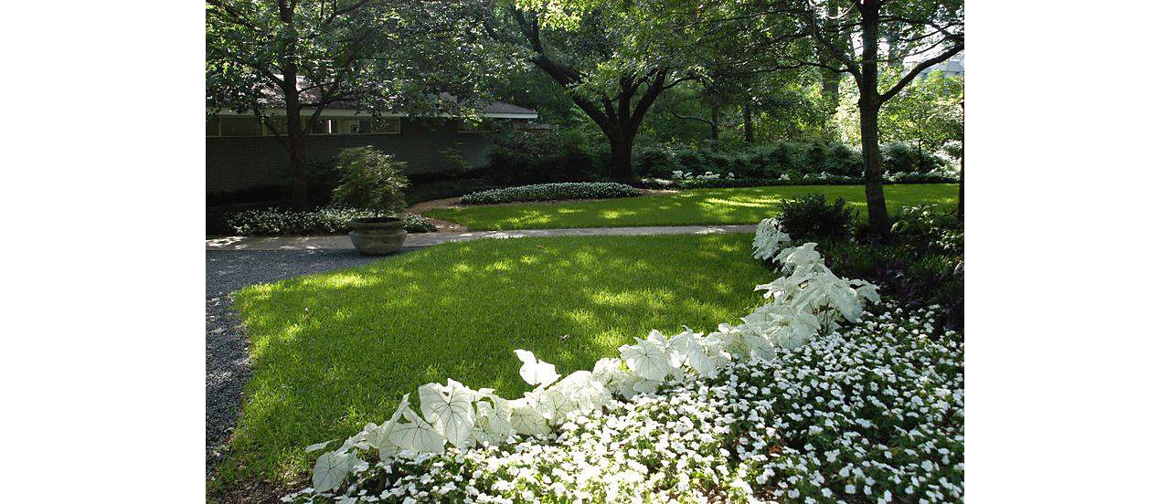 Your lawn needs an upgrade