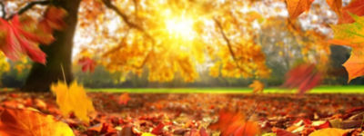 Fall HVAC Maintenance Tips