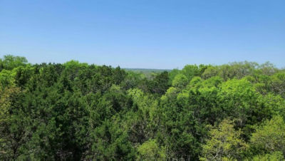 Lush greenery extends far