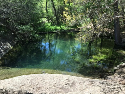 Crystal clear oasis