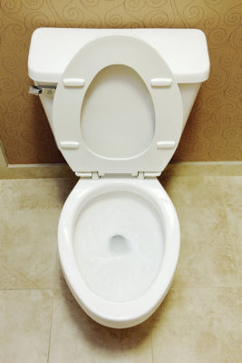 Clean toilet wth lid up